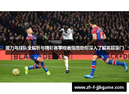 魔力鸟球队全解析与精彩赛事观看指南助你深入了解英超豪门